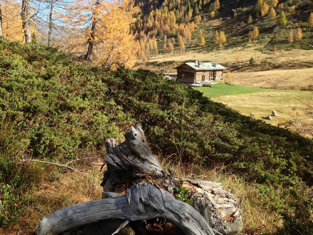 Casa Elda Daire Isolaccia Oda fotoğraf