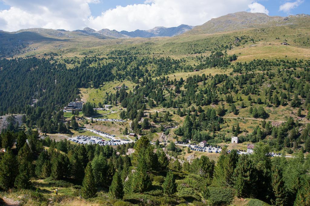 Casa Elda Daire Isolaccia Dış mekan fotoğraf